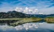 Lago di Scutari - Montenegro